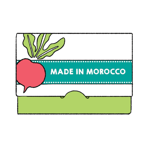 Made in Morocco Literature