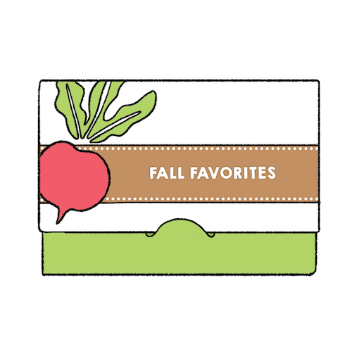 Fall Favorites Literature