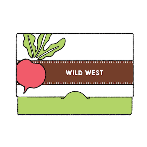 Wild West Literature