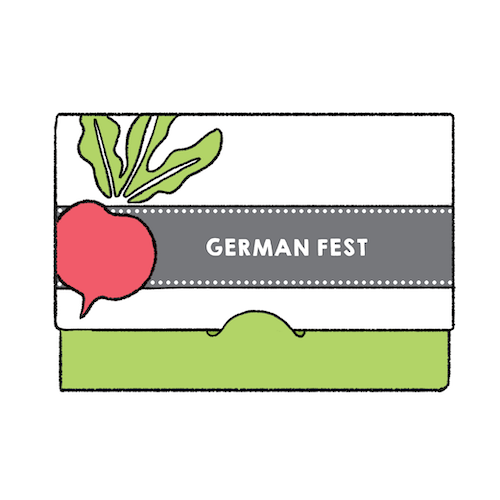 German Fest Literature