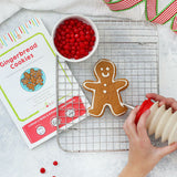 Gingerbread Cookie Kit
