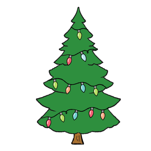 Get your kit by Christmas! UPS 2-Day - Domestic Only
